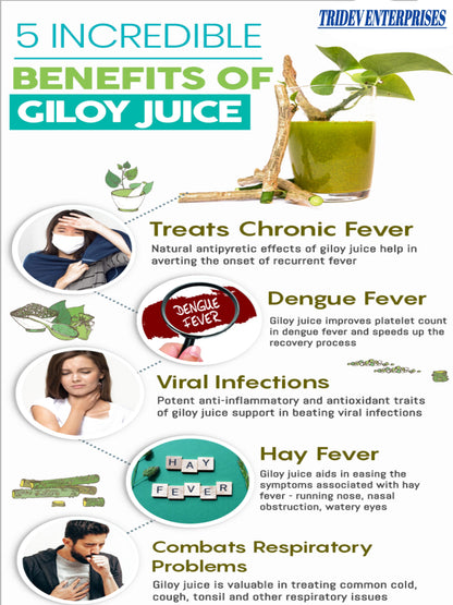 Giloy powder 100g